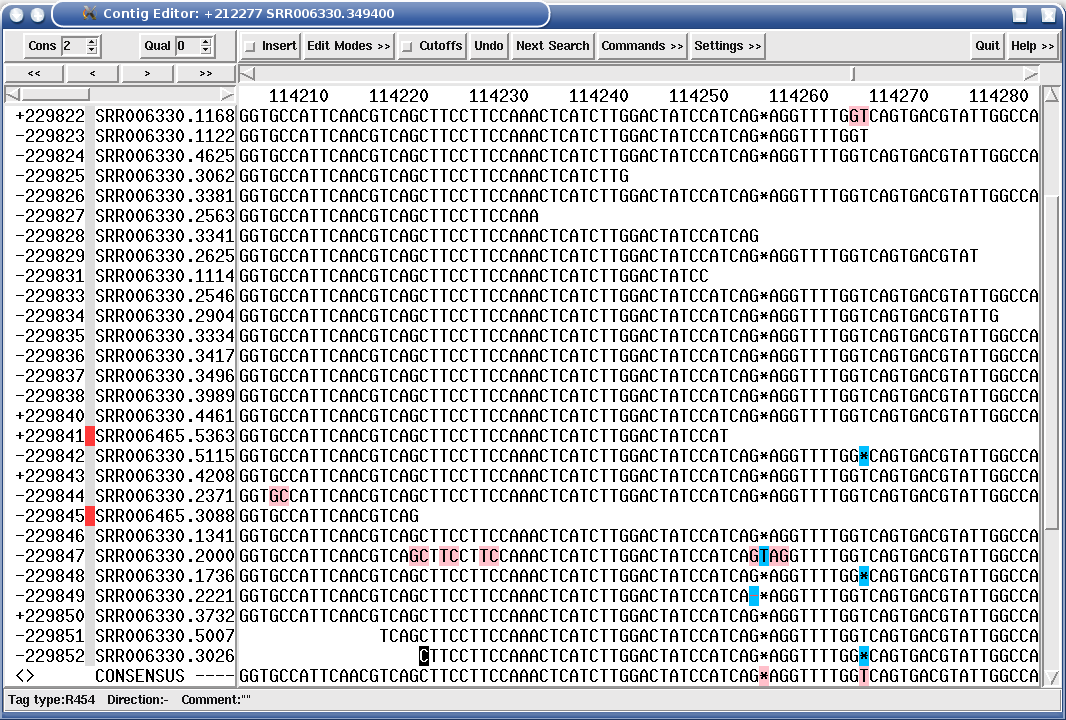 454 assembly with 454 automatic editing routines