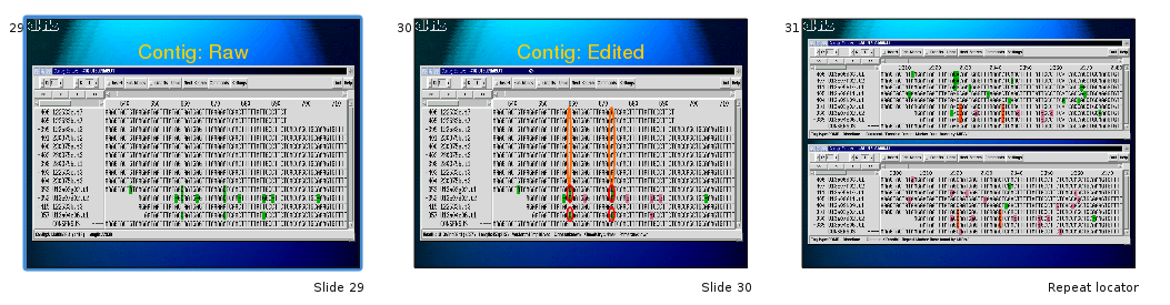 Slides presenting the repeat locator at the GCB 99