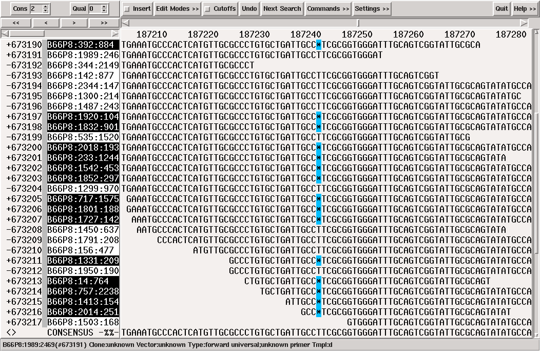 Example for a sequencing direction dependent indel. Note how all but one of the reads in '+' direction miss a base while all reads built in in '-' direction have the correct number of bases.