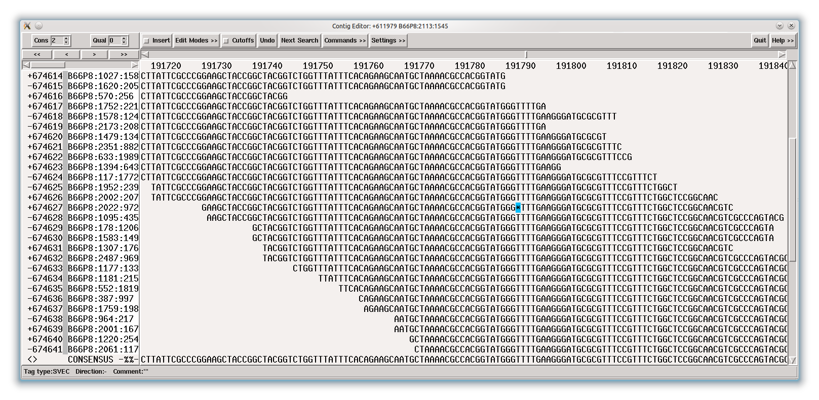 Example for good IonTorrent data (100bp reads). Note that only a single sequencing error - shown by blue background - can be seen. Except this, all homopolymers of size 3 and 4 in the area shown are good.