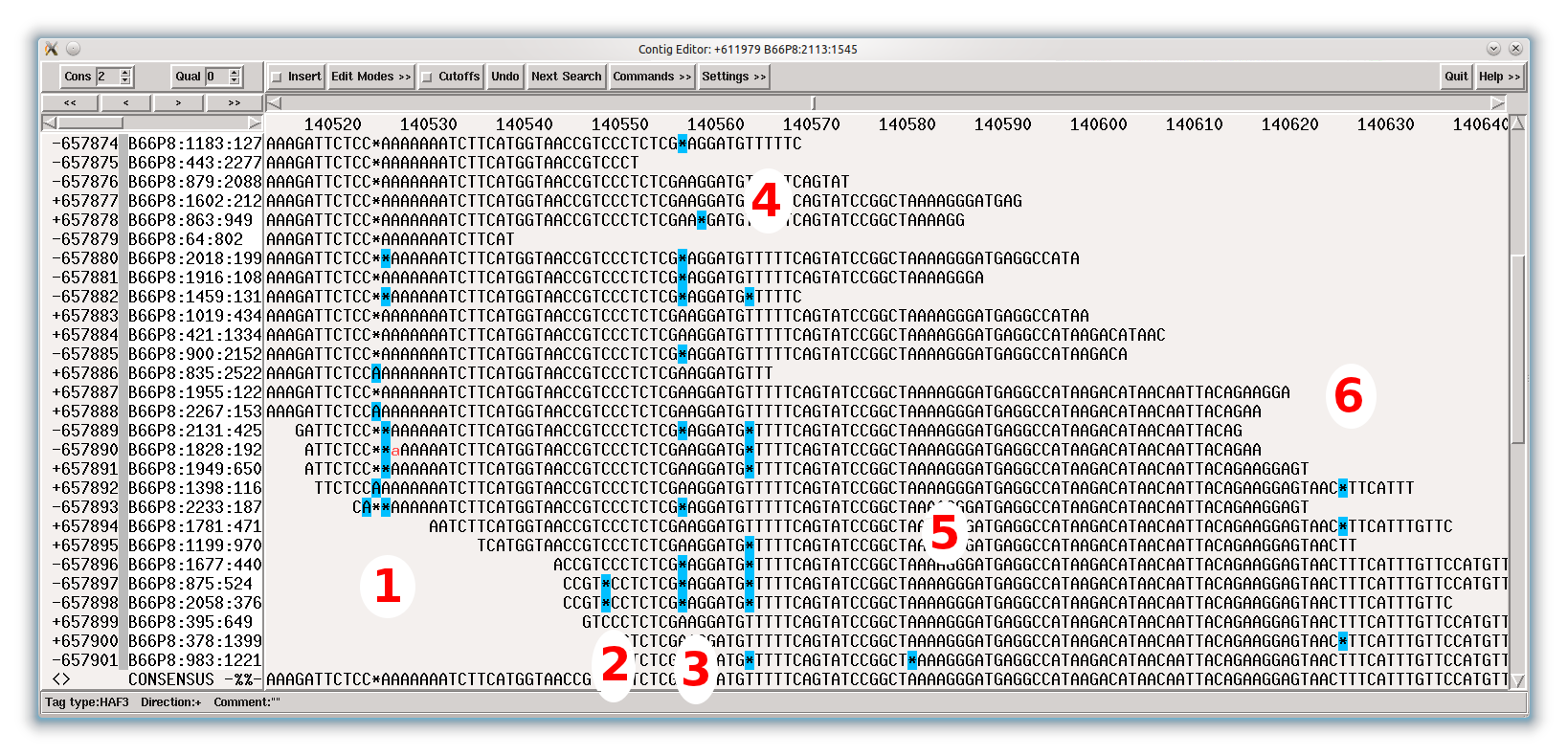 Example for problematic IonTorrent data (100bp reads).