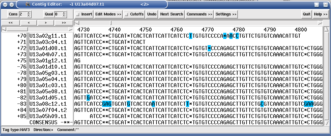 Sanger assembly without EdIt automatic editing routines. The bases with blue background are base calling errors.