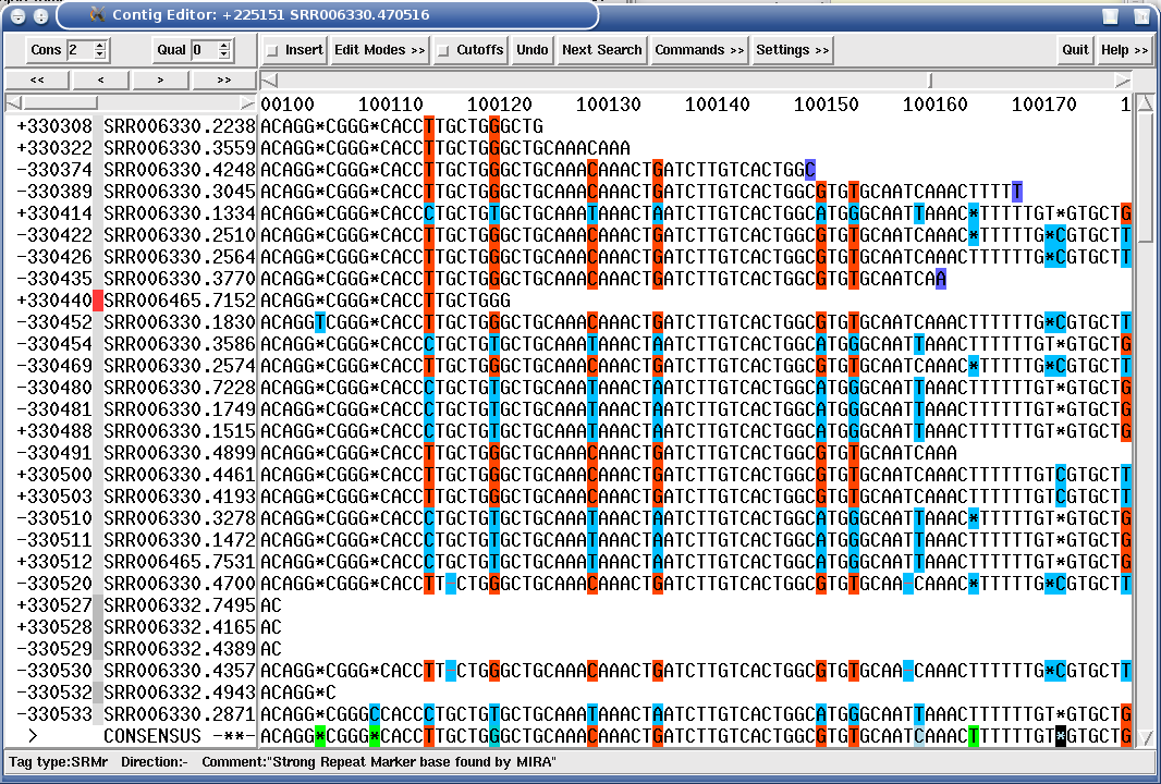 How MIRA learns from misassemblies (1). Multiple alignment after 1st pass with an obvious assembly error, notice the clustered columns discrepancies. Two slightly different repeats were assembled together.