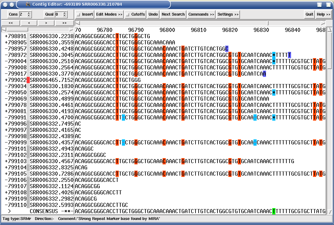 Multiple alignment after last pass where assembly errors from previous passes have been resolved (1st repeat site)