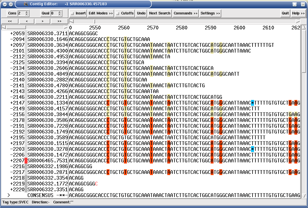 Multiple alignment after last pass where assembly errors from previous passes have been resolved (2nd repeat site)