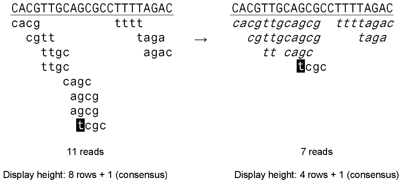 Coverage equivalent reads (CERs) explained. Left side of the figure: a conventional mapping with eleven reads of size 4 against a consensus (in uppercase). The inversed base in the lowest read depicts a sequencing error. Right side of the figure: the same situation, but with coverage equivalent reads (CERs). Note that there are less reads, but no information is lost: the coverage of each reference base is equivalent to the left side of the figure and reads with differences to the reference are still present.