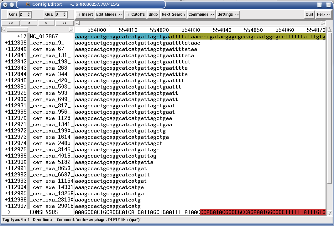 "MCVc" tag (Missing CoVerage in Consensus, dark red stretch in figure) showing a genome deletion in Solexa mapping assembly.