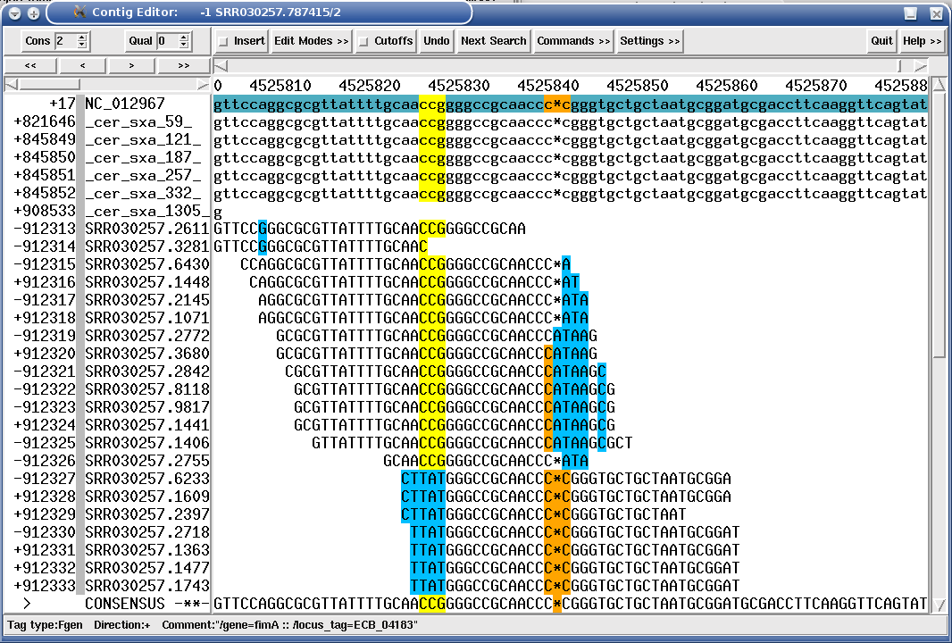 An IS186 insertion leading to a SROc/UNsC xmas-tree