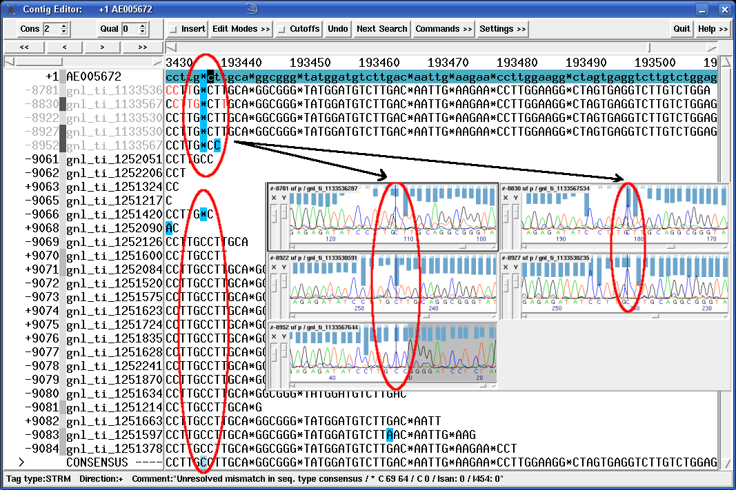 A "STMU" tag (Sequencing Technology Mismatch Unresolved, light blue square in the consensus at lower end of large oval) showing a potentially difficult decision in a hybrid Sanger / 454 mapping assembly.