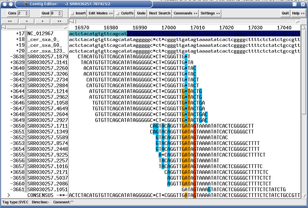 An IS150 insertion hiding behind a WRMc and a SRMc tags